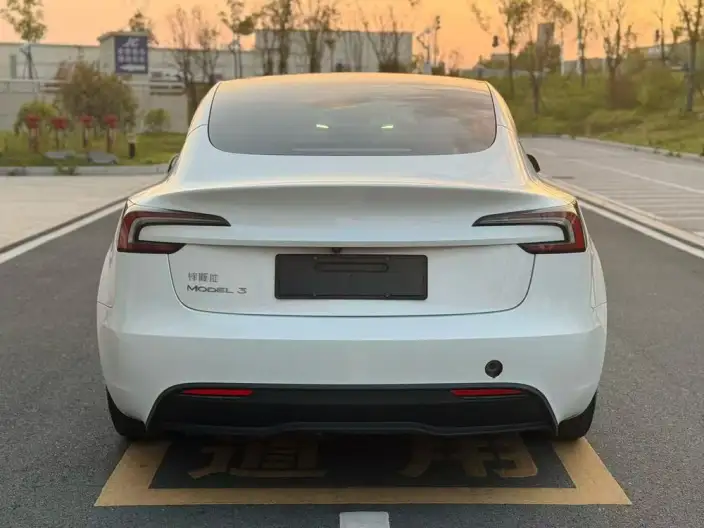 Model 3 2023 Model Rear-wheel drive version – фото 5