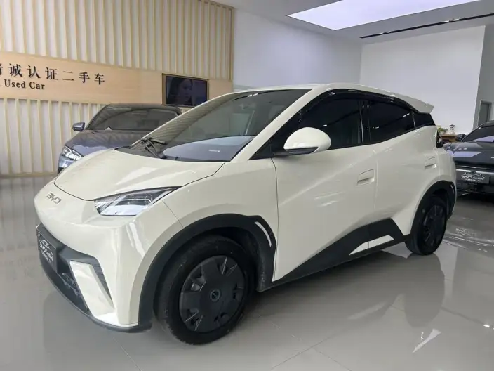 BYD Seagull 2024 Model Honor Edition 305KM Vitality Edition – фото 1