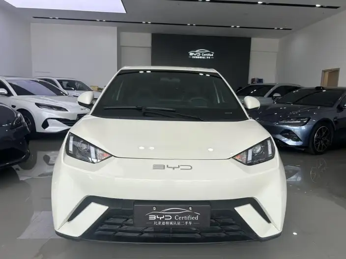 BYD Seagull 2024 Model Honor Edition 305KM Vitality Edition – фото 2