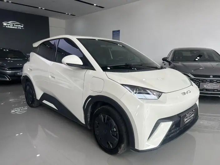 BYD Seagull 2024 Model Honor Edition 305KM Vitality Edition – фото 3