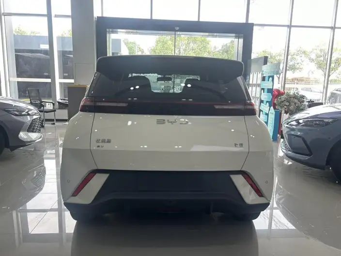 BYD Seagull 2024 Model Honor Edition 305KM Vitality Edition – фото 6