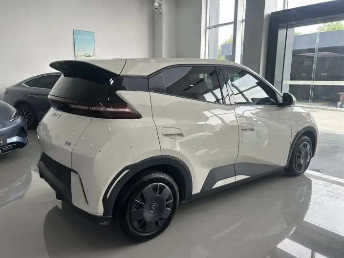 BYD Seagull 2024 Model Honor Edition 305KM Vitality Edition – фото 7