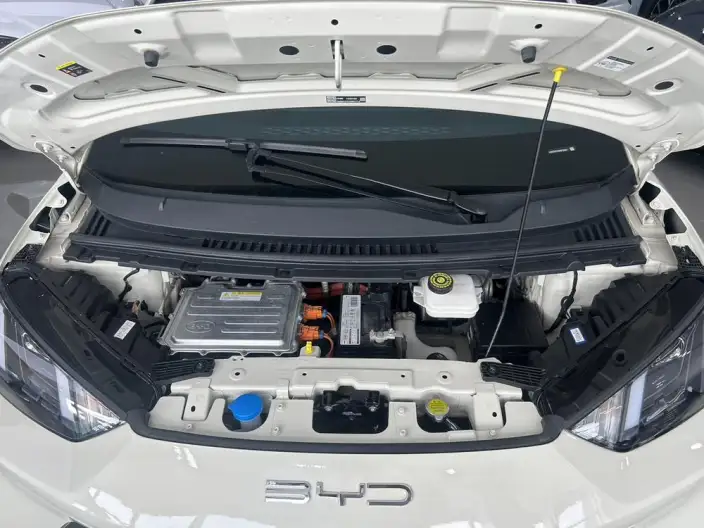 BYD Seagull 2024 Model Honor Edition 305KM Vitality Edition – фото 9