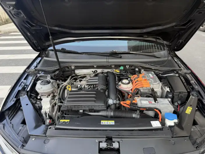 Volkswagen Magotan PHEV 2020 Model Luxury Model – фото 10