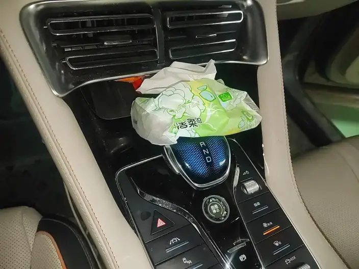 BYD Song PLUS DM 2021 Model DM-i 51KM 2WD Zunrong Model – фото 9