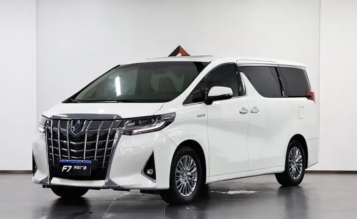 Elfa 2020 Model Hybrid 2.5L Premium Edition – фото 1