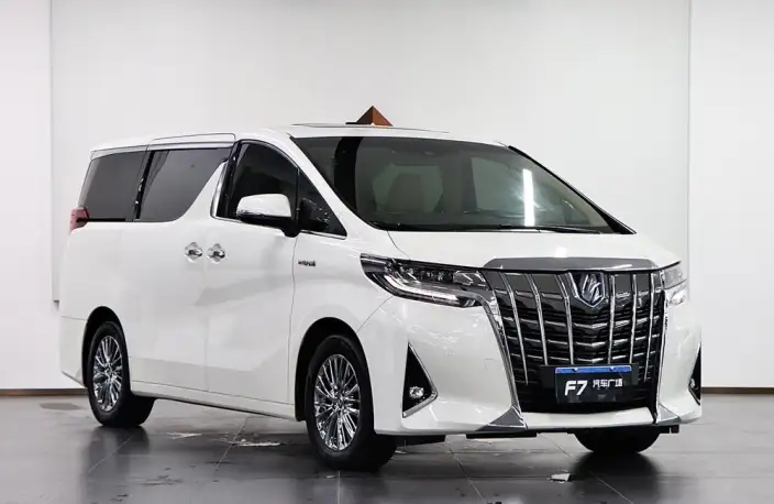 Elfa 2020 Model Hybrid 2.5L Premium Edition – фото 3