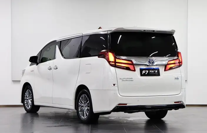 Elfa 2020 Model Hybrid 2.5L Premium Edition – фото 5