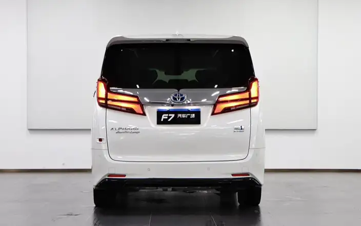 Elfa 2020 Model Hybrid 2.5L Premium Edition – фото 6