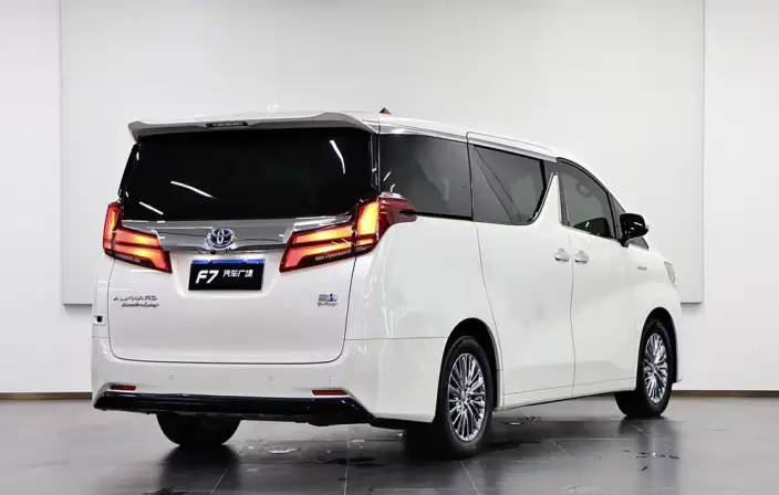 Elfa 2020 Model Hybrid 2.5L Premium Edition – фото 7