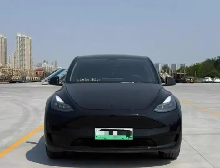 Model Y 2021 Model Standard Battery Life Rear-wheel drive version – фото 2