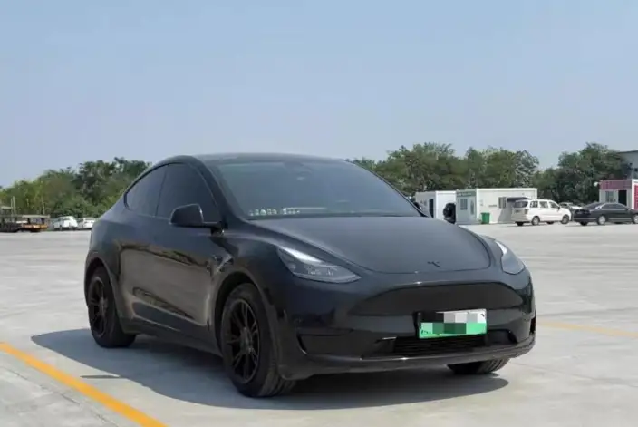 Model Y 2021 Model Standard Battery Life Rear-wheel drive version – фото 3