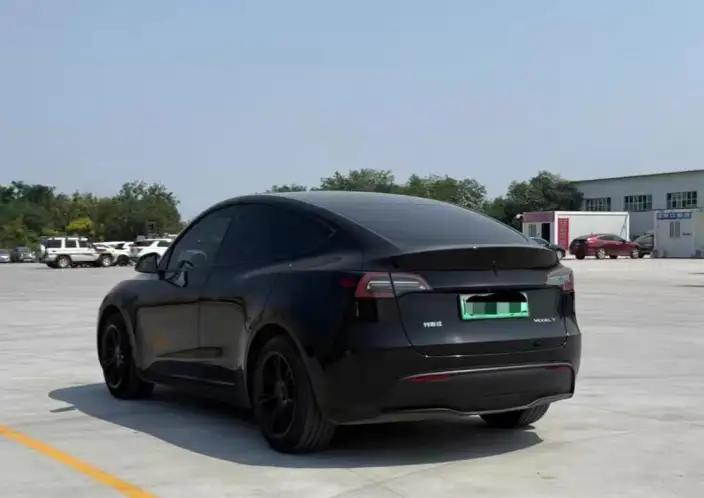 Model Y 2021 Model Standard Battery Life Rear-wheel drive version – фото 4