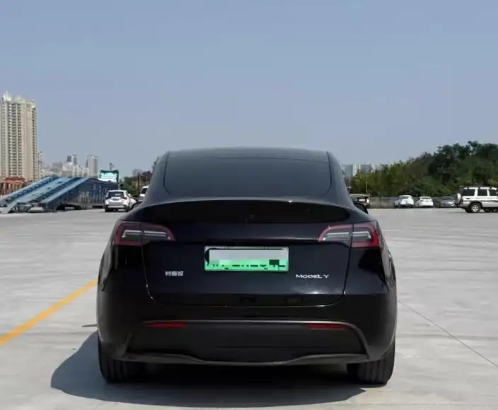 Model Y 2021 Model Standard Battery Life Rear-wheel drive version – фото 5