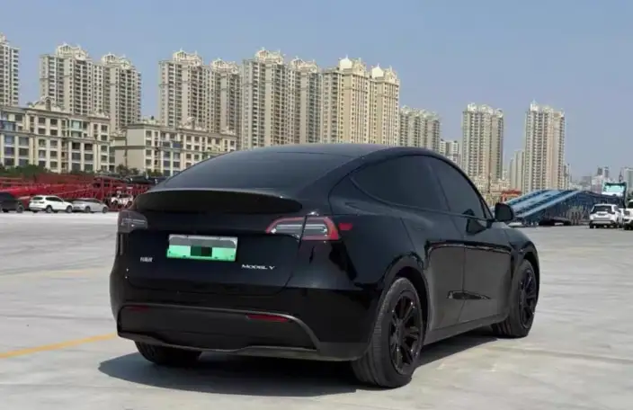 Model Y 2021 Model Standard Battery Life Rear-wheel drive version – фото 6