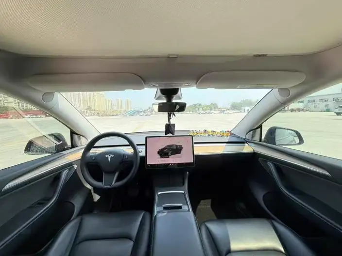 Model Y 2021 Model Standard Battery Life Rear-wheel drive version – фото 7