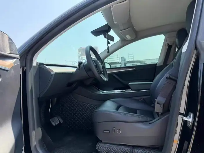 Model Y 2021 Model Standard Battery Life Rear-wheel drive version – фото 8