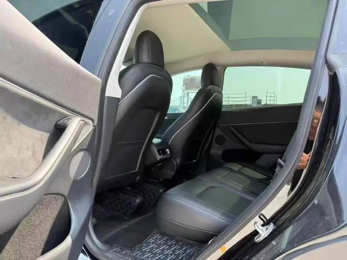 Model Y 2021 Model Standard Battery Life Rear-wheel drive version – фото 9