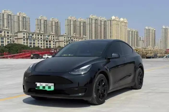 Model Y 2021 Model Standard Battery Life Rear-wheel drive version – фото 10