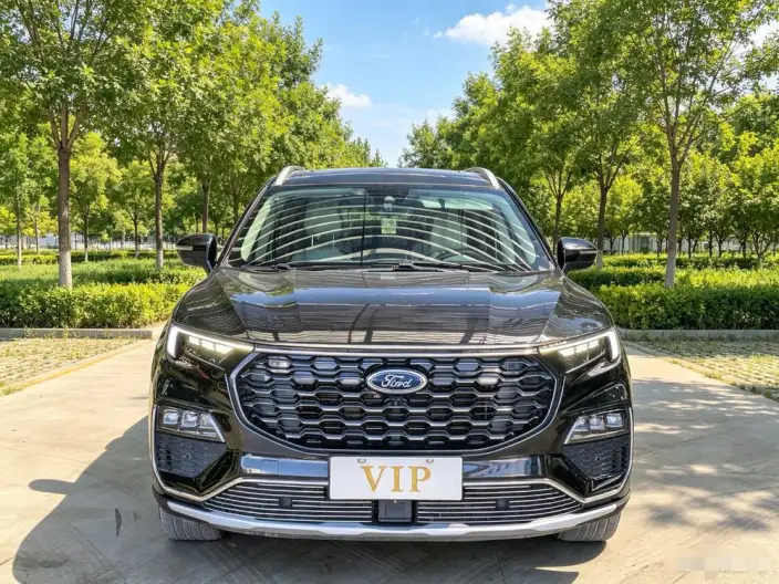 Lingyu 2021 Model EcoBoost 225 6 seat Zun Ling Model