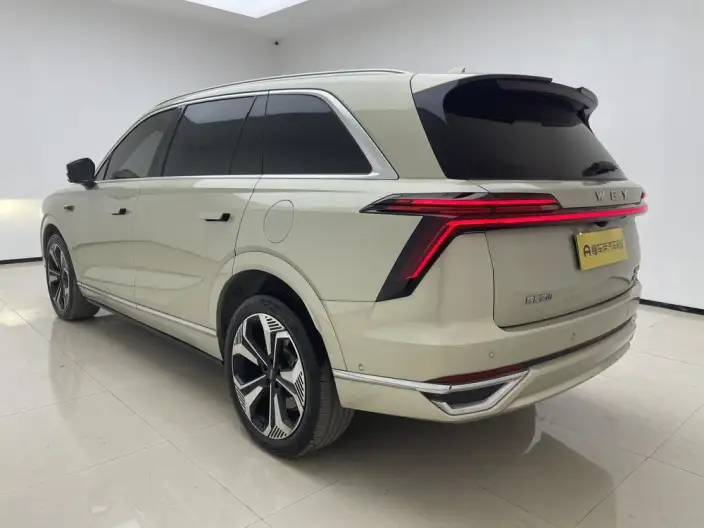 Wey Blue Mountain 2023 Model 4WD Ultra-long Endurance – фото 5