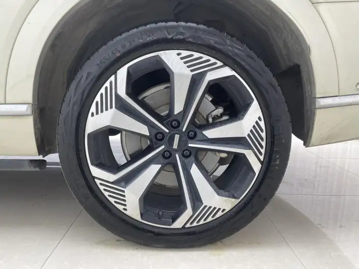 Wey Blue Mountain 2023 Model 4WD Ultra-long Endurance – фото 9