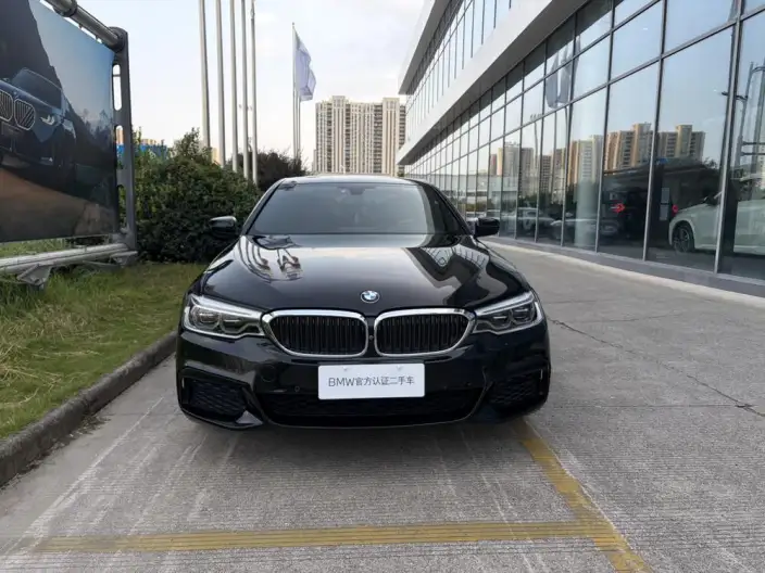 BMW 5 Series 2020 Model 530Li Exclusive Model M Sports Set – фото 2