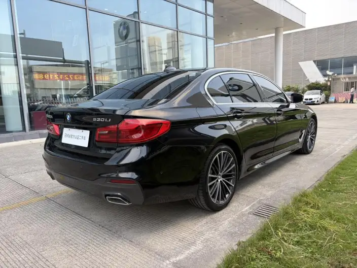 BMW 5 Series 2020 Model 530Li Exclusive Model M Sports Set – фото 5