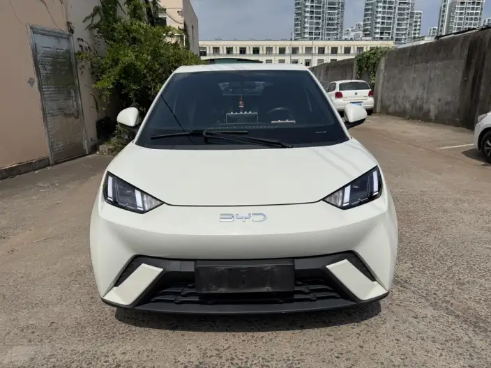 BYD Seagull 2024 Model Honor Edition 305KM Free Edition – фото 2
