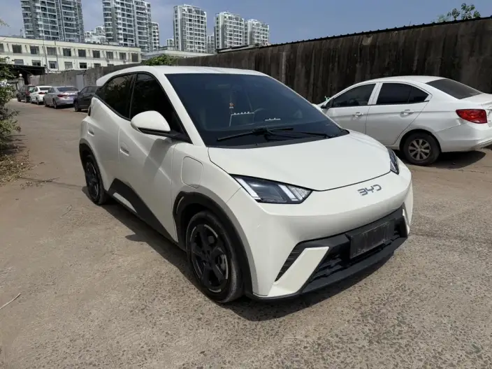BYD Seagull 2024 Model Honor Edition 305KM Free Edition – фото 3