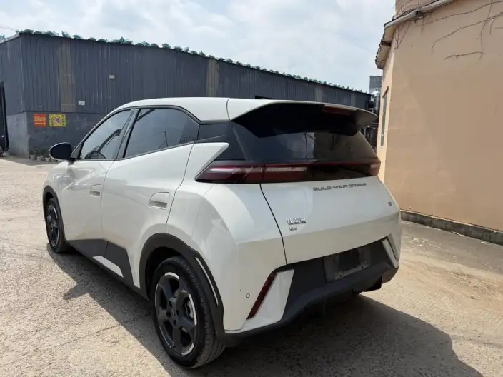 BYD Seagull 2024 Model Honor Edition 305KM Free Edition – фото 4