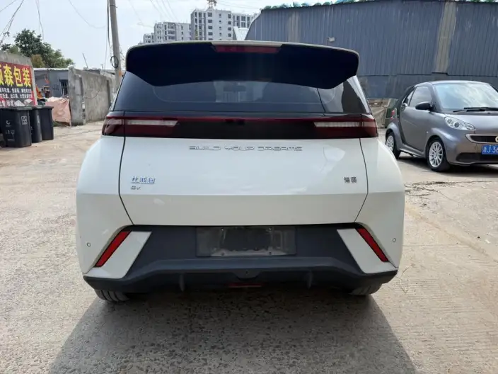 BYD Seagull 2024 Model Honor Edition 305KM Free Edition – фото 5