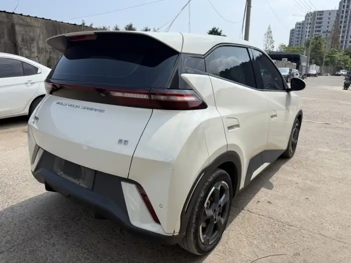 BYD Seagull 2024 Model Honor Edition 305KM Free Edition – фото 6