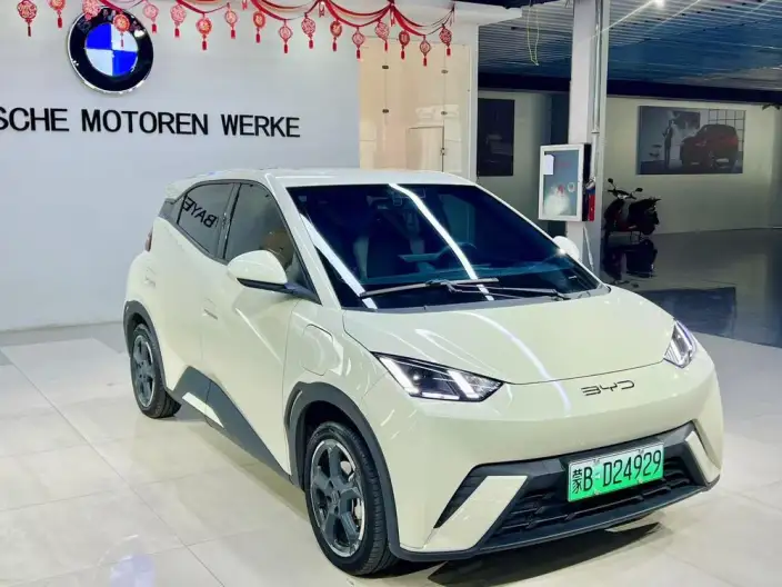 BYD Seagull 2023 Model Free Edition – фото 3