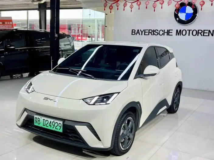 BYD Seagull 2023 Model Free Edition – фото 10