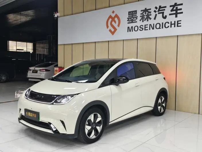 BYD Dolphin 2024 Model Honor Edition 420km Free Edition – фото 1
