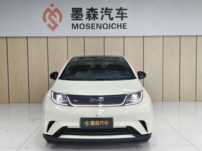 BYD Dolphin 2024 Model Honor Edition 420km Free Edition – фото 2