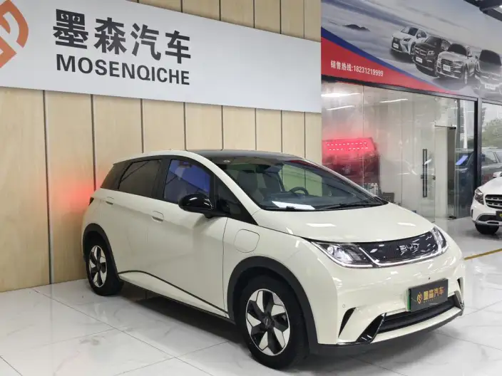 BYD Dolphin 2024 Model Honor Edition 420km Free Edition – фото 3