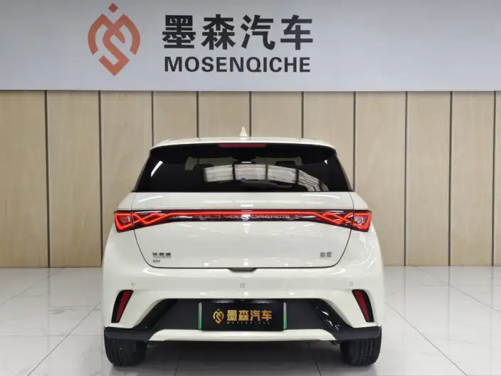 BYD Dolphin 2024 Model Honor Edition 420km Free Edition – фото 4