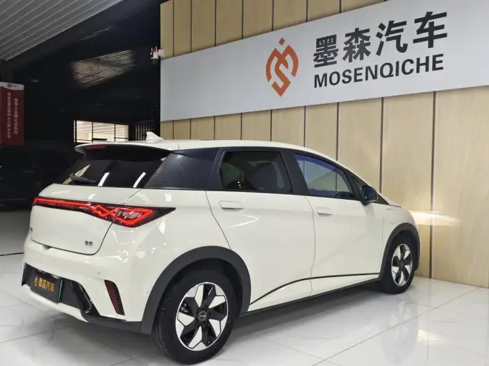 BYD Dolphin 2024 Model Honor Edition 420km Free Edition – фото 5