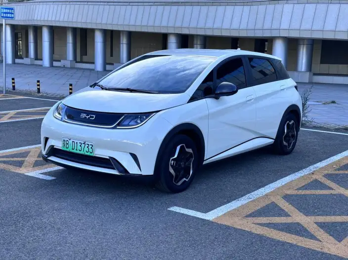 BYD Dolphin 2025 Model 420KM Vitality Edition – фото 1