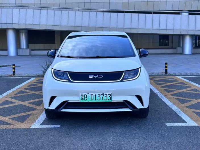 BYD Dolphin 2025 Model 420KM Vitality Edition – фото 2