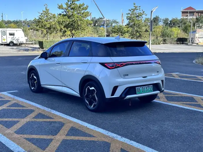 BYD Dolphin 2025 Model 420KM Vitality Edition – фото 4