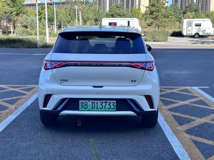 BYD Dolphin 2025 Model 420KM Vitality Edition – фото 5