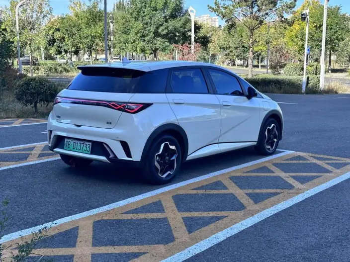 BYD Dolphin 2025 Model 420KM Vitality Edition – фото 6