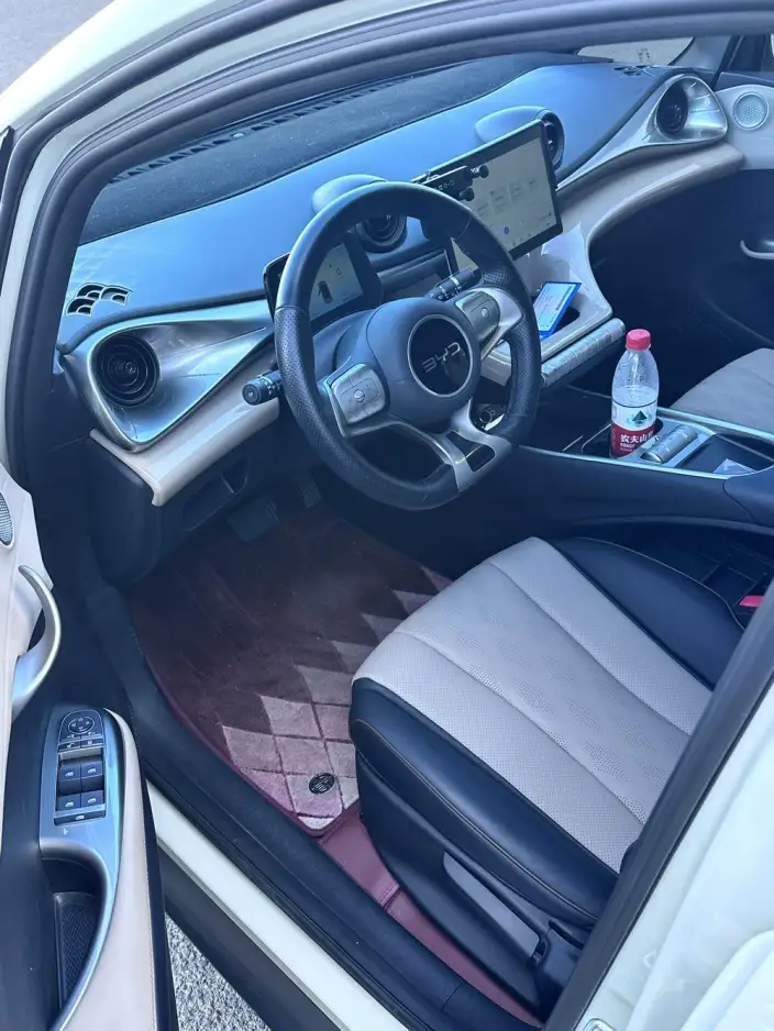 BYD Dolphin 2025 Model 420KM Vitality Edition – фото 8