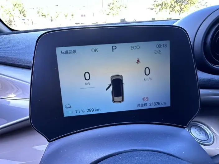 BYD Dolphin 2025 Model 420KM Vitality Edition – фото 10