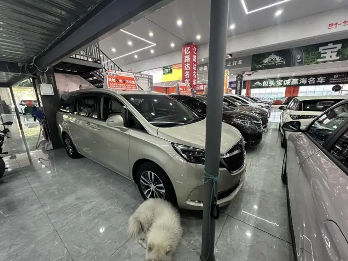Buick GL8 2021 Model ES Luzun 653T Comfort Model – фото 3