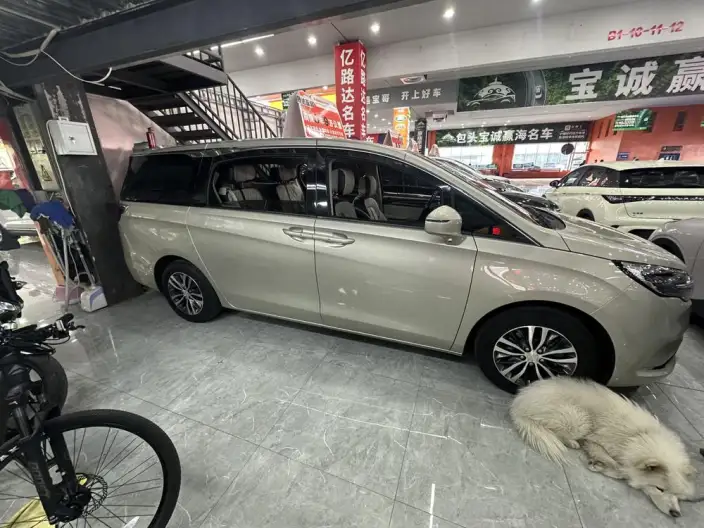 Buick GL8 2021 Model ES Luzun 653T Comfort Model – фото 6