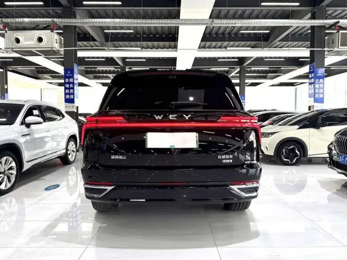 Wey Blue Mountain 2025 Model 4WD Max – фото 5